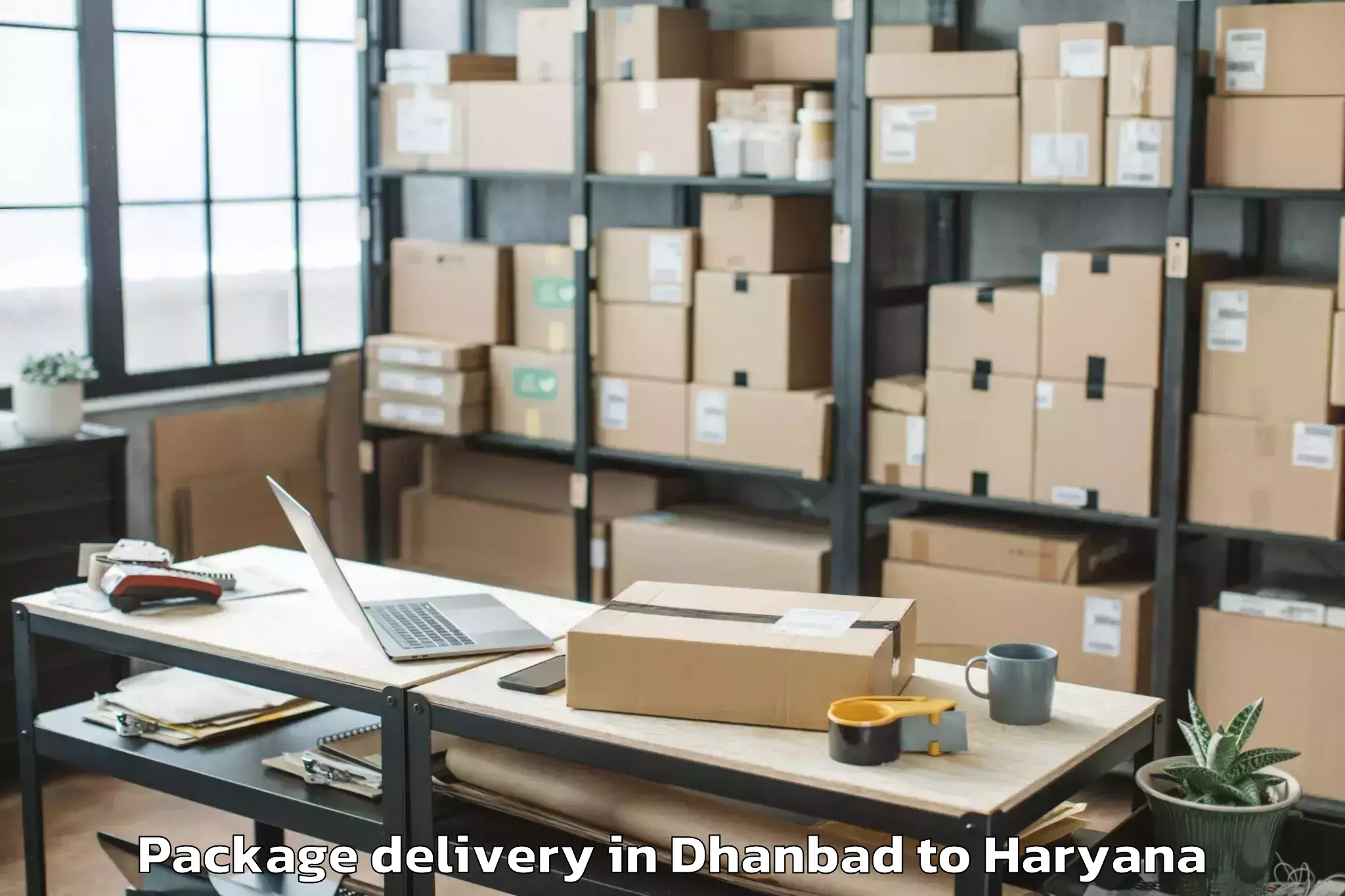 Dhanbad to Maharshi Dayanand University R Package Delivery Booking